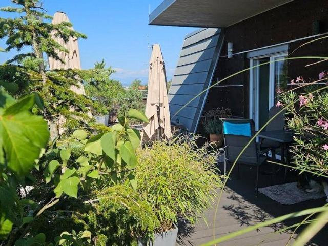 Apartment kaufen in Lieboch
