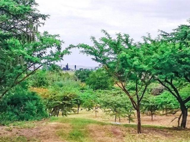 Farm for sale in Eshowe, Kwazulu-natal
