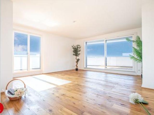 Wohnung mieten in Schwechat, Niederösterreich