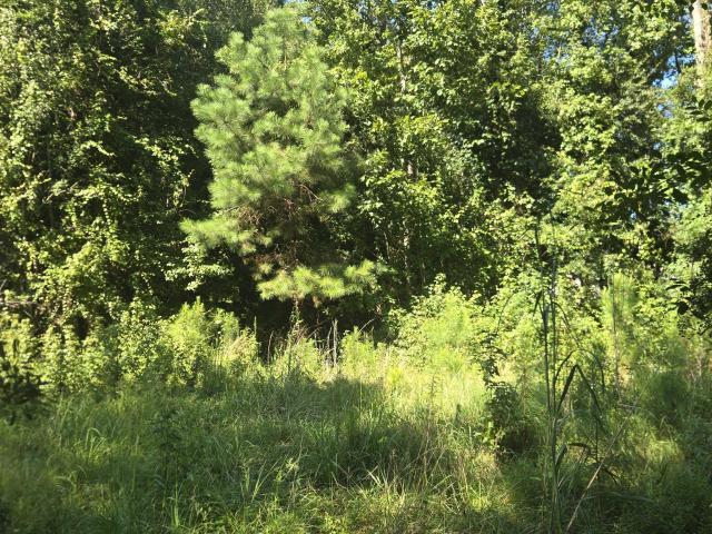 Land for sale in Grantsboro, Pamlico County