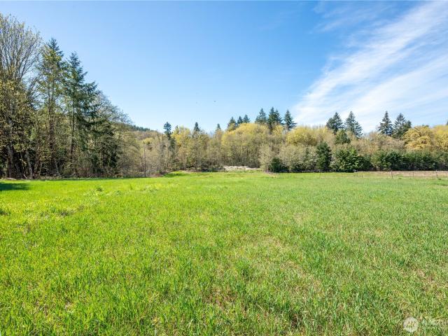 Land for sale in Castle Rock, Washington