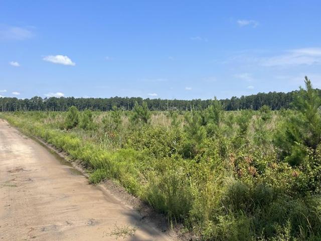 Land for sale in Orangeburg, South Carolina