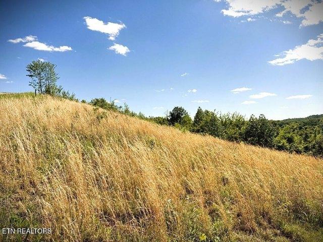 Land for sale in Tennessee