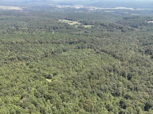 Land for sale in Blount, Alabama