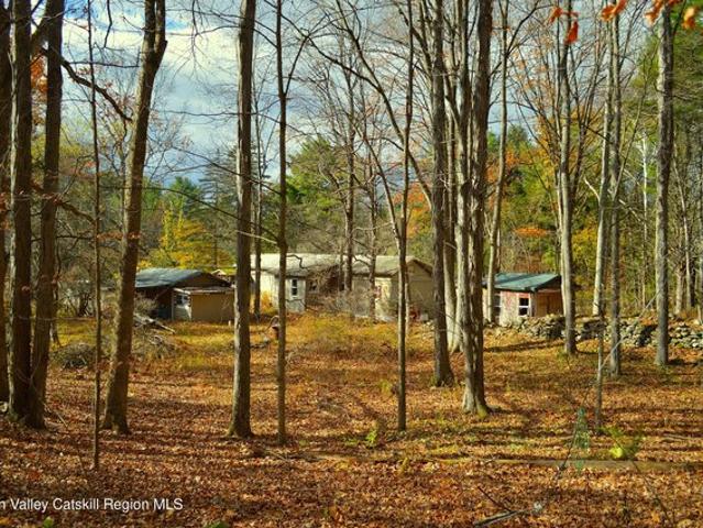House for sale in Town of Cairo, Greene County