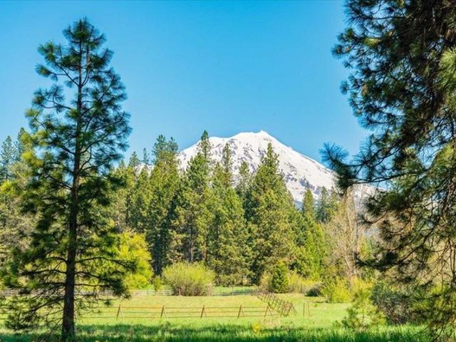 Land for sale in Mccloud, California