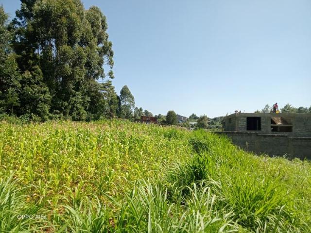 Land for sale in Kiambaa, Banana Hill