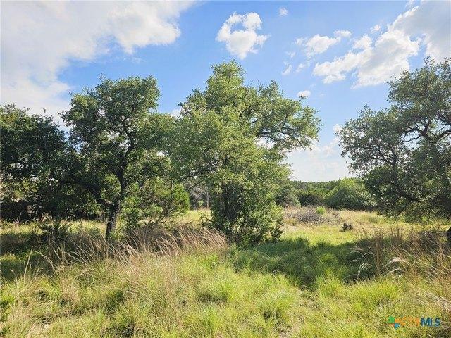 Land for sale in Kempner, Lampasas County