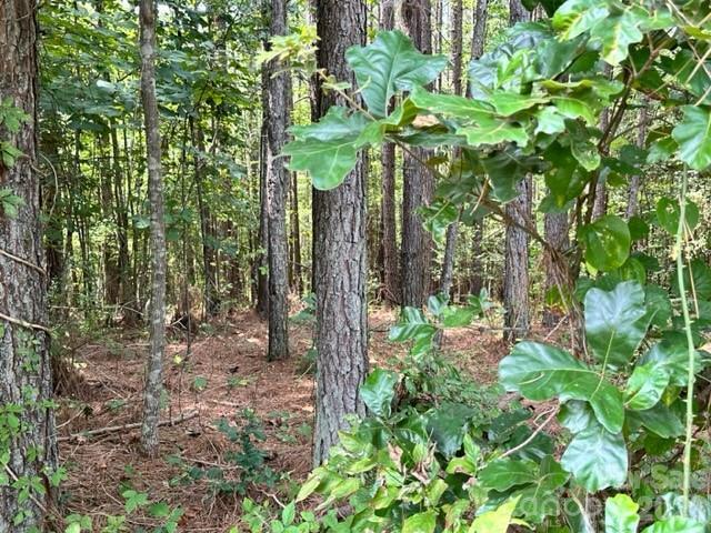 Land for sale in Valdese, Burke County