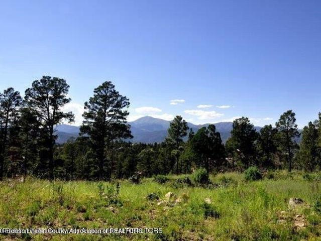 Land for sale in Alto, New Mexico