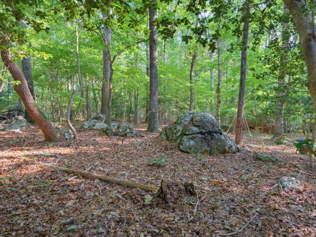 Land for sale in Chatham, North Carolina