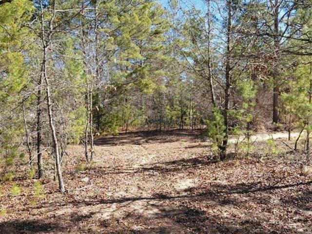 Land for sale in Talbot, Georgia