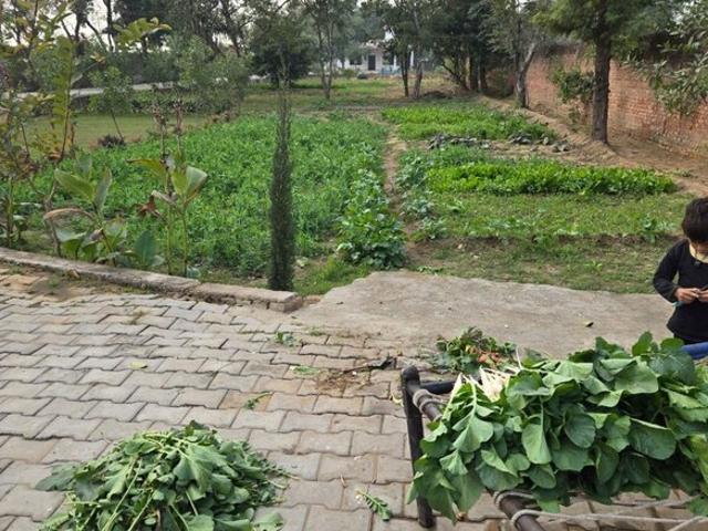 Land for sale in Ahmadabad, Gujarat