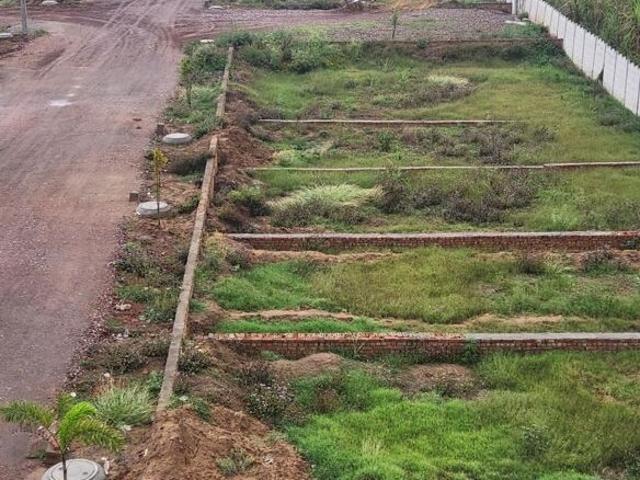 Land for sale in Jharli, Arunachal Pradesh