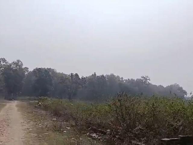 Land for sale in Kedarpur, Uttarakhand