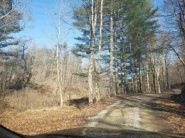 Land for sale in Parsons, West Virginia