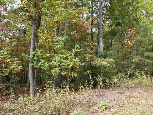 Land for sale in Bostic, Rutherford County