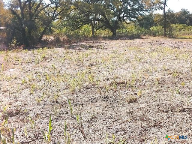 Land for sale in Waelder, Texas