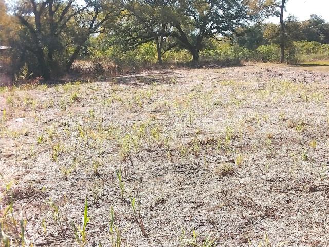 Land for sale in Waelder, Texas