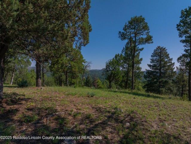 Land for sale in Alto, New Mexico