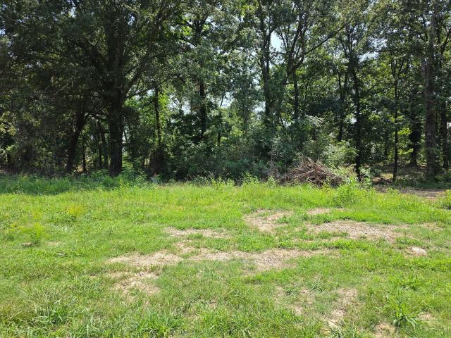 Land for sale in Fort Oglethorpe, Georgia
