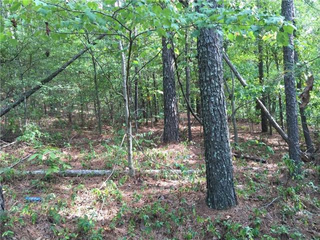 Land for sale in Bartow, Georgia