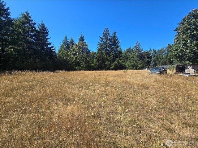 Land for sale in Elma, Washington