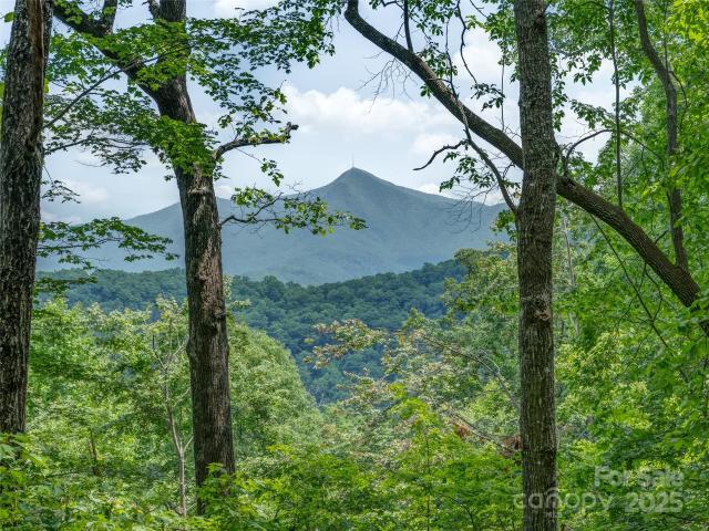 Land for sale in Candler, North Carolina