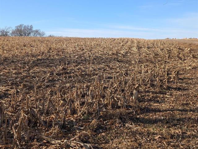 Land for sale in Sidney, Iowa