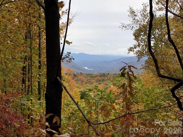 Land for sale in Old Fort, North Carolina