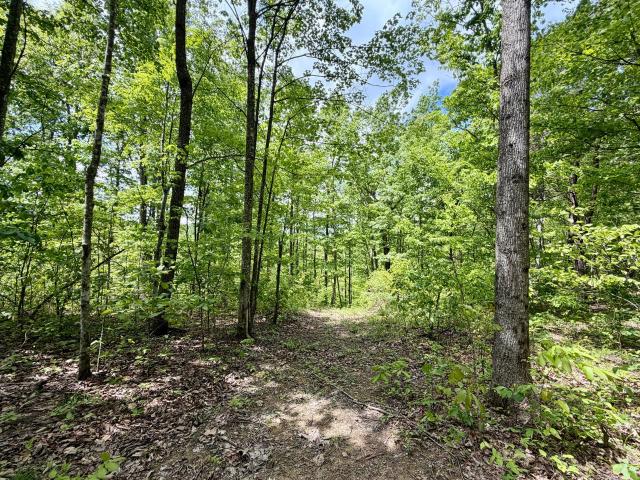 Land for sale in Kentucky