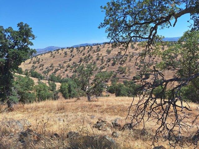Land for sale in California