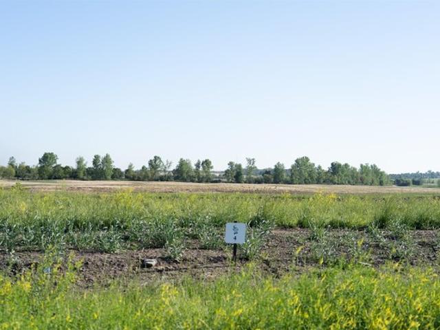 Land for sale in Chandler, Indiana