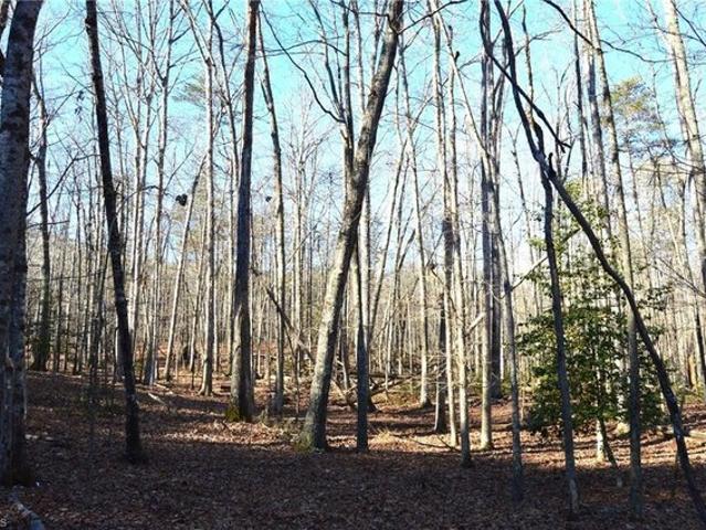 Land for sale in Stokes, North Carolina