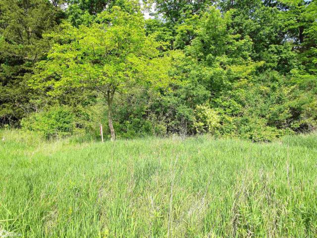 Land for sale in Iowa Falls, Iowa