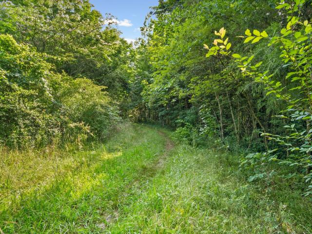 Land for sale in Tennessee