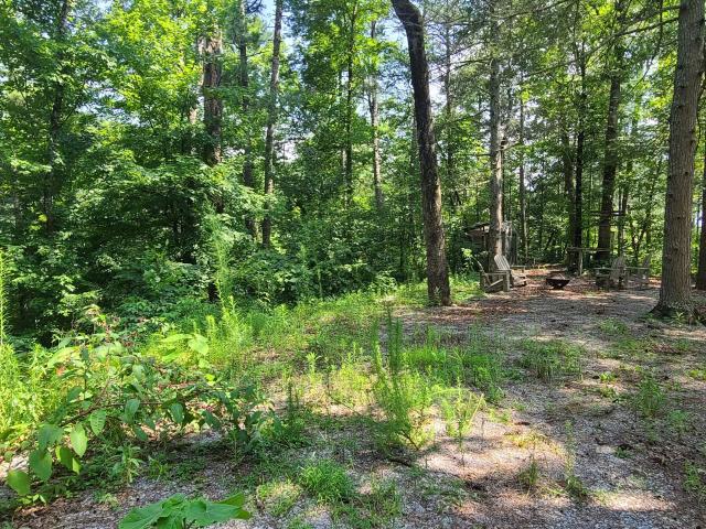 Land for sale in Tennessee