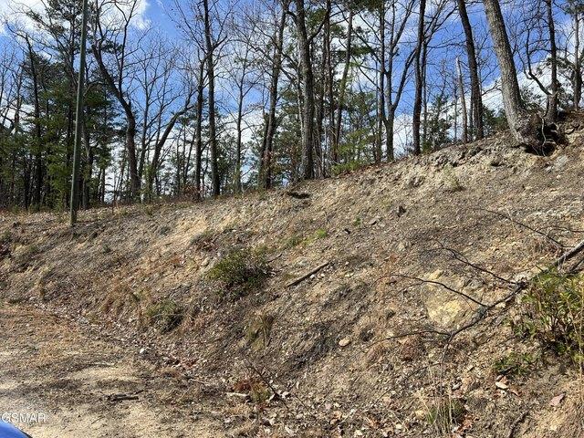 Land for sale in Tennessee