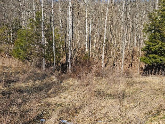 Land for sale in Lawrenceburg, Kentucky