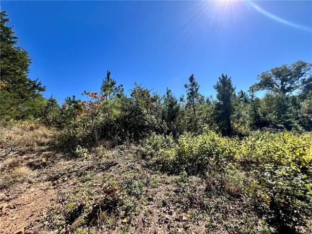 Land for sale in Ark