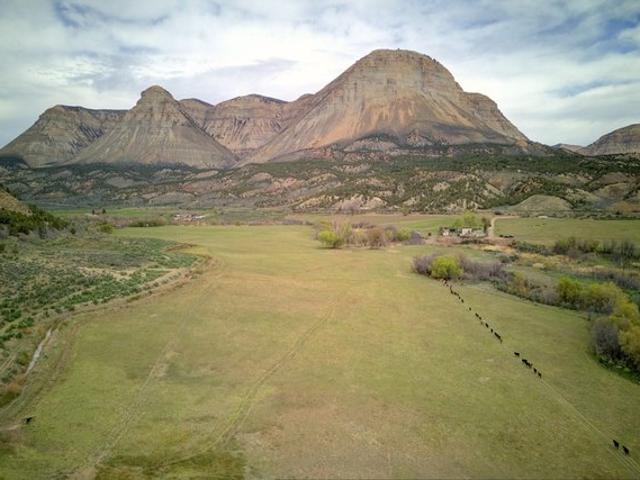 Farm for sale in De Beque, Colorado