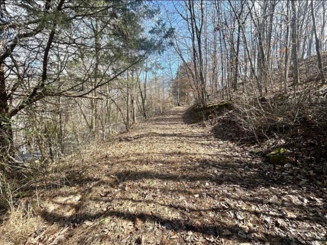 Land for sale in White Hill, Rock Island