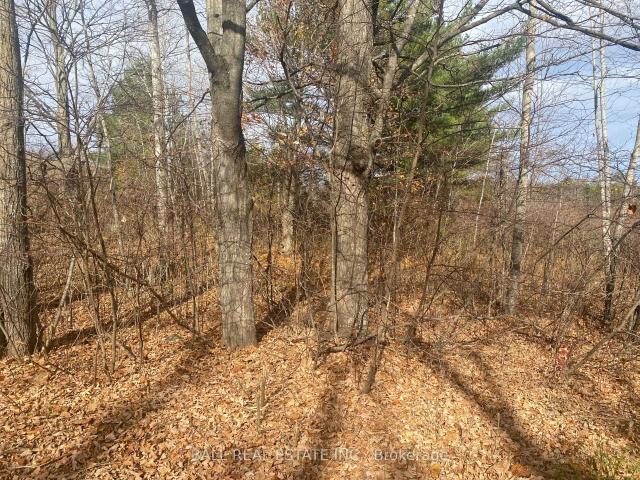 Land for sale in Trent Hills, Ontario