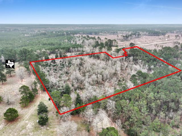 Land for sale in Newton, Texas