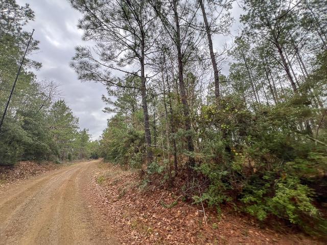Land for sale in Newton, Texas