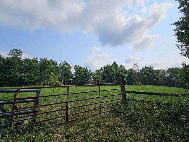 House for sale in Nettie, West Virginia