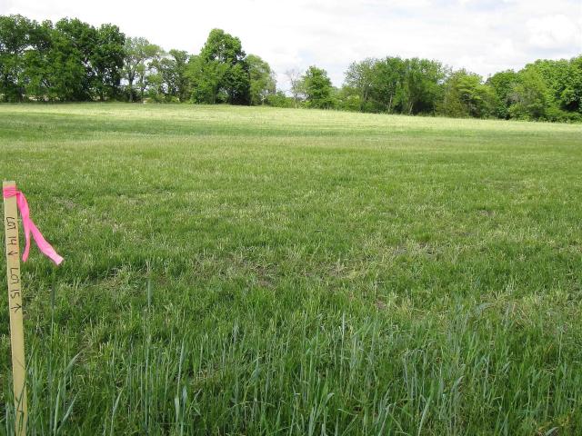 Land for sale in Iowa Falls, Iowa
