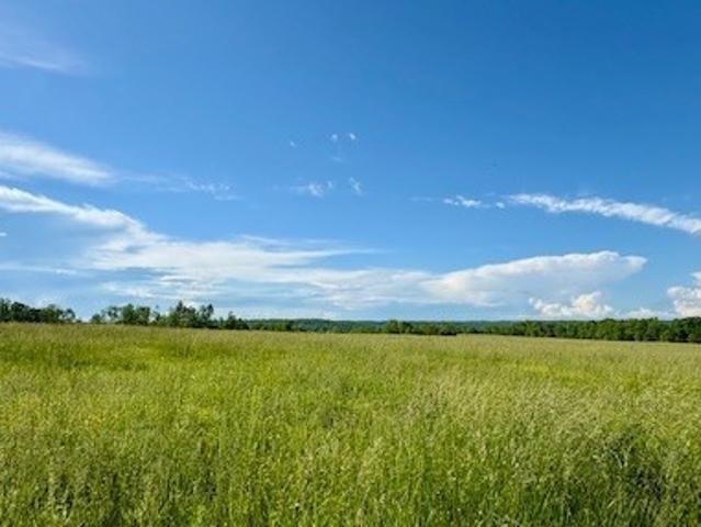 Farm for sale in Tennessee