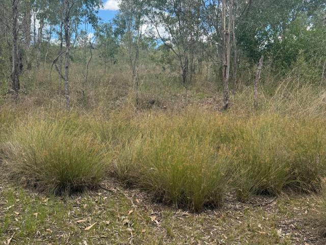 Property for sale in Mount Perry, Queensland