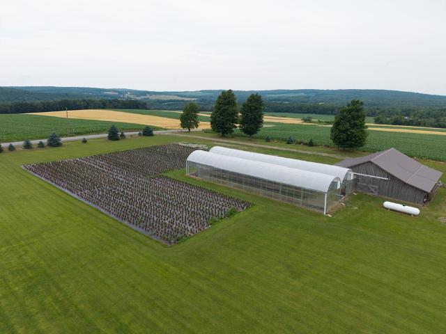 House for sale in Dansville, New York